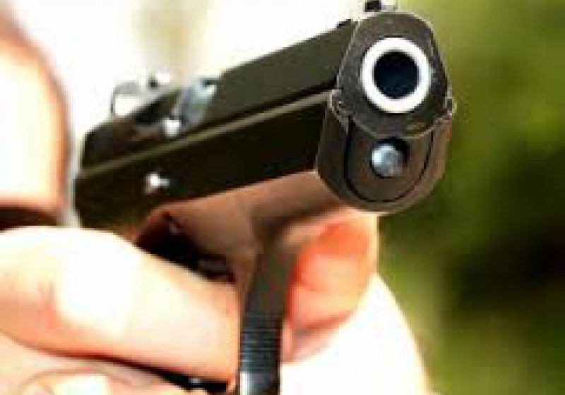SATU MARE: Foc de armă pentru prinderea unor hoți care au încercat să fugă de poliție
