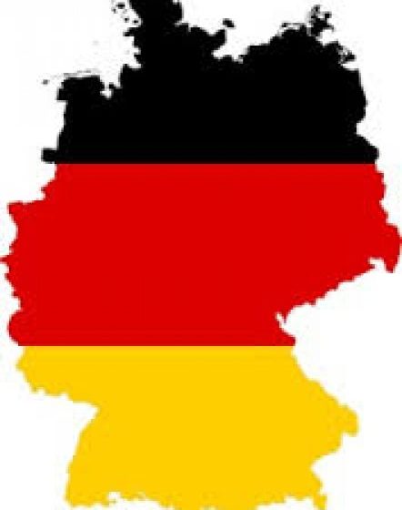 ETICHETĂ: ‘Trădător de țară’ – aleasă cea mai urâtă expresie a anului în Germania