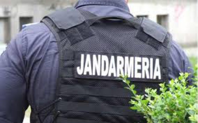 PUȘI LA PUNCT: O tânără din Baia Mare și doi sigheteni, sancționați de jandarmi. Vezi ce au făcut PUȘI LA PUNCT: O tânără din Baia Mare și doi sigheteni, sancționați de jandarmi. Vezi ce au făcut