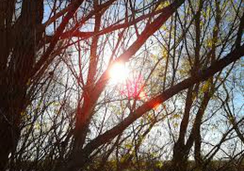 PROGNOZA METEO: Vremea se va menţine deosebit de caldă