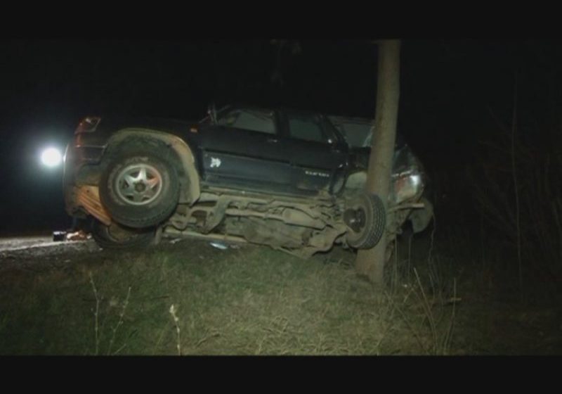 ACCIDENT ÎN MARAMUREȘ: A lovit doi mistreți și o autoutilitară după care a intrat într-un copac