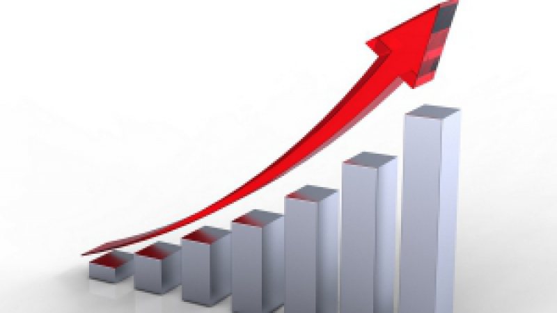 BNR: Rata creditelor neperformante a crescut la 9,75%, în ianuarie BNR: Rata creditelor neperformante a crescut la 9,75%, în ianuarie