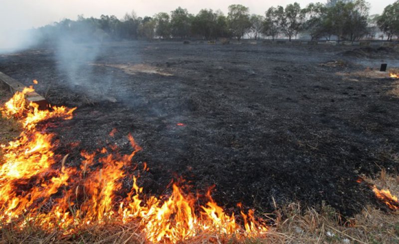 FOCURI SCĂPATE DE SUB CONTROL: Incendii de vegetație uscată în lanț FOCURI SCĂPATE DE SUB CONTROL: Incendii de vegetație uscată în lanț