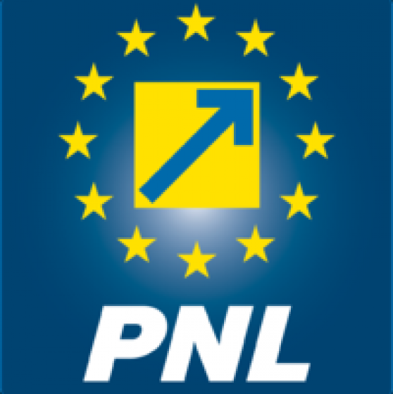 PNL: Guvernul PSD ascunde adevărul despre economie și își camuflează goliciunea de idei economice cu promisiuni