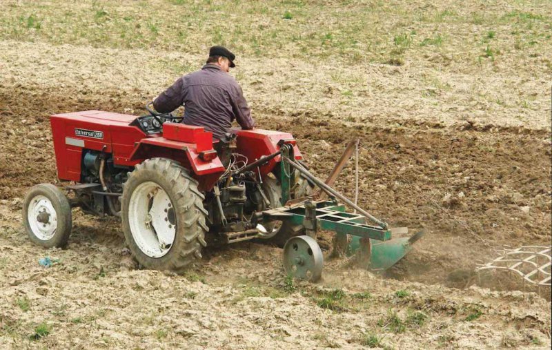 MINISTRUL AGRICULTURII: Aproximativ 80% din fermieri au primit deja subvențiile MINISTRUL AGRICULTURII: Aproximativ 80% din fermieri au primit deja subvențiile