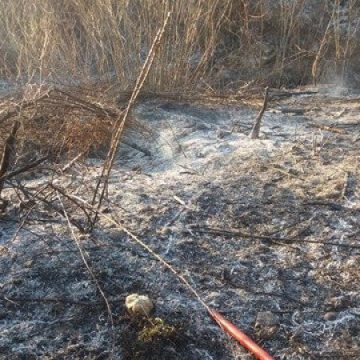 VIDEO | Weekend cu foc, cele mai multe au fost incendiile de vegetație VIDEO | Weekend cu foc, cele mai multe au fost incendiile de vegetație