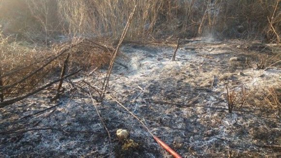 VIDEO | Weekend cu foc, cele mai multe au fost incendiile de vegetație VIDEO | Weekend cu foc, cele mai multe au fost incendiile de vegetație