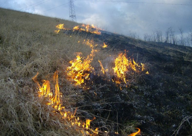 PRECAUȚII: Cei care vor să-și ardă vegetația uscată de pe terenuri trebuie să obțină permis de lucru cu focul