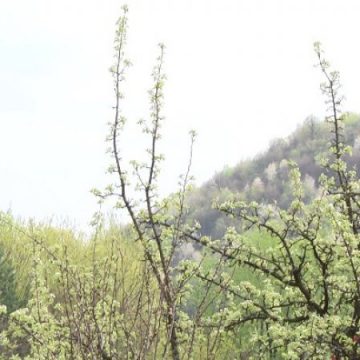 Vremea astăzi în județ Vremea astăzi în județ