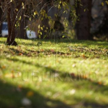 Vremea astăzi în Maramureș Vremea astăzi în Maramureș