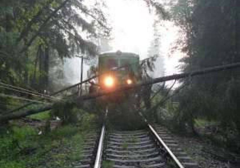 CFR INFRASTRUCTURĂ: Patru trenuri staționează în nordul țării din cauza unor copaci căzuți pe linia de contact CFR INFRASTRUCTURĂ: Patru trenuri staționează în nordul țării din cauza unor copaci căzuți pe linia de contact