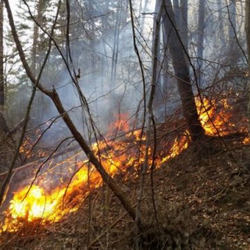Video | Pompierii vin cu sfaturi pentru prevenirea incendiilor de toamnă