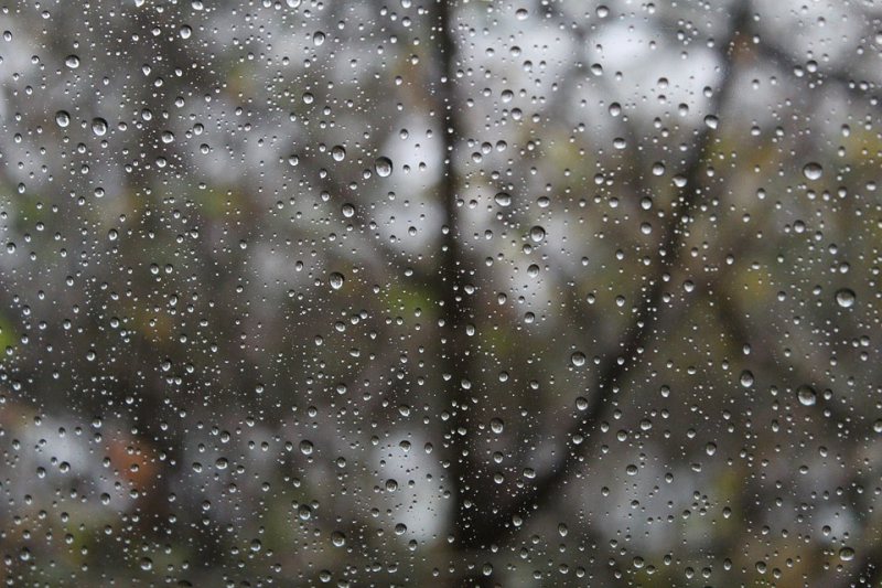 VREMEA: Prognoza meteo pentru următoarele zile. Când scăpăm de ploi VREMEA: Prognoza meteo pentru următoarele zile. Când scăpăm de ploi