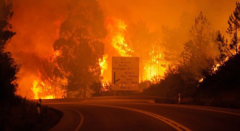 TRAGEDIE: Cel puţin 39 de morţi şi 20 de răniţi, în urma unui incendiu forestier (VIDEO) TRAGEDIE: Cel puţin 39 de morţi şi 20 de răniţi, în urma unui incendiu forestier (VIDEO)
