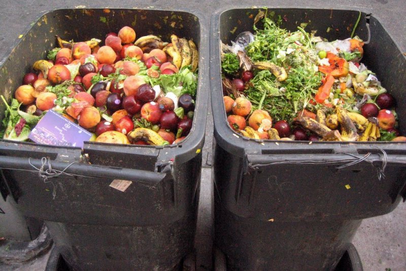 TĂRĂGĂNARE: Ministerul Agriculturii amână aplicarea legii risipei alimentare TĂRĂGĂNARE: Ministerul Agriculturii amână aplicarea legii risipei alimentare