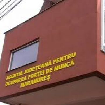 AJOFM: Locuri de muncă vacante în Maramureș