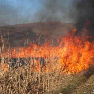 Pompierii maramureșeni au intervenit în weekend la 22 de incendii de vegetație uscată