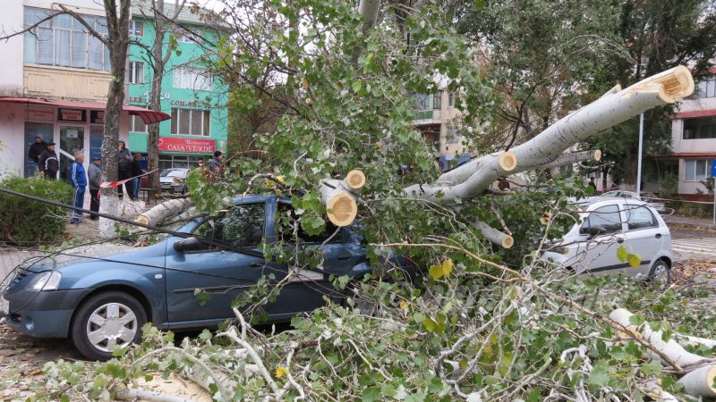 IGSU: Pompierii au înlăturat 42 de arbori de pe carosabil sau autoturisme în ultimele 24 de ore IGSU: Pompierii au înlăturat 42 de arbori de pe carosabil sau autoturisme în ultimele 24 de ore