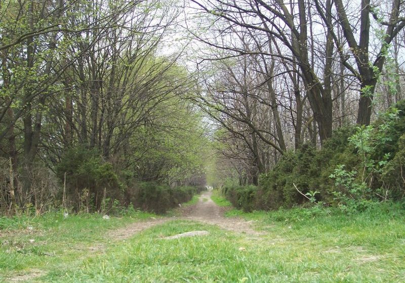 MAI E UN PAS: Parcul dendrologic va trece în posesia Primăriei Sighet