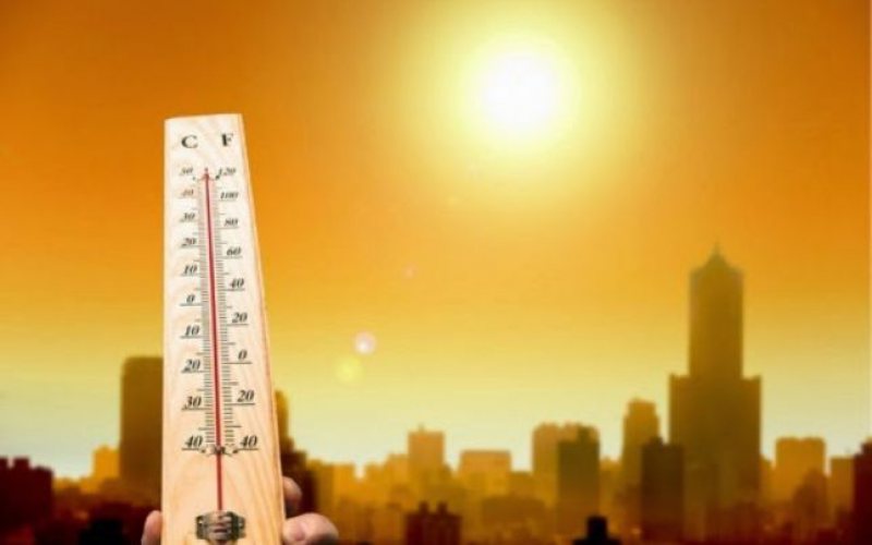 VREME CĂLDUROASĂ: Sfântul Ilie a venit în acest an cu temperaturi la pragul caniculei pentru maramureșeni VREME CĂLDUROASĂ: Sfântul Ilie a venit în acest an cu temperaturi la pragul caniculei pentru maramureșeni