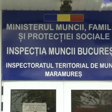 VIDEO: Marea majoritate din mediul privat județean a amânat tranziția la REGES-ONLINE, termenul limită se apropie