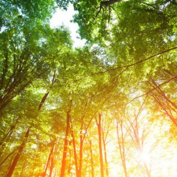 PROGNOZĂ ANM: Cum stăm cu vremea în Maramureș în următoarele două săptămâni
