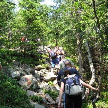 VIDEO | Cum e cu taberele în vremea pandemiei