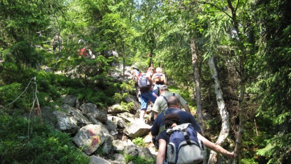 VIDEO | Cum e cu taberele în vremea pandemiei