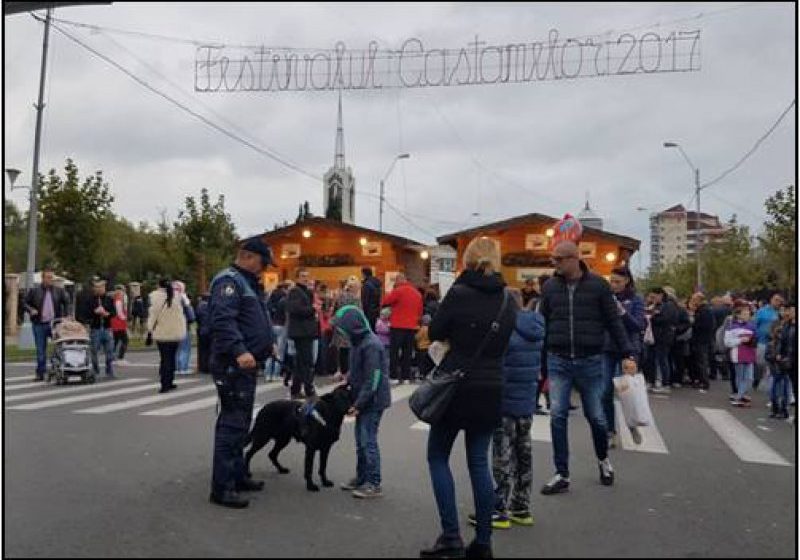 FESTIVALUL CASTANELOR: Poliţiştii băimăreni au acţionat pentru siguranţa participanţilor