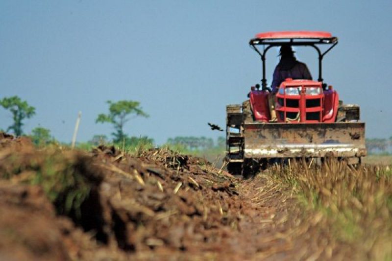 PROBLEMA PRODUCĂTORILOR AGRICOLI: Ar da de lucru, dar n-au cui PROBLEMA PRODUCĂTORILOR AGRICOLI: Ar da de lucru, dar n-au cui
