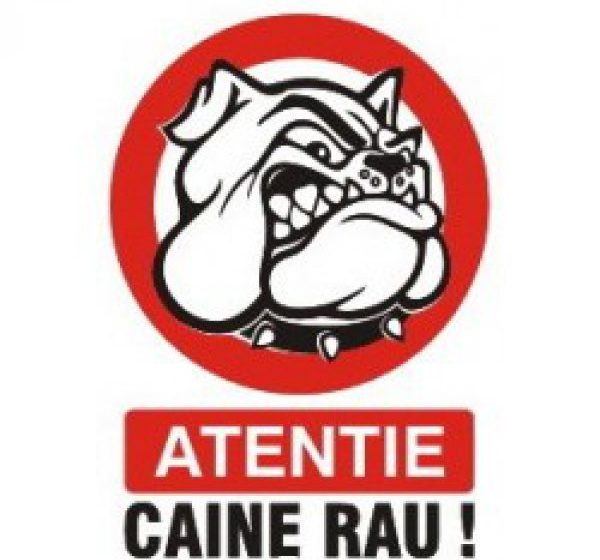 REGLEMENTĂRI: Care sunt obligațiile proprietarilor de câini periculoși