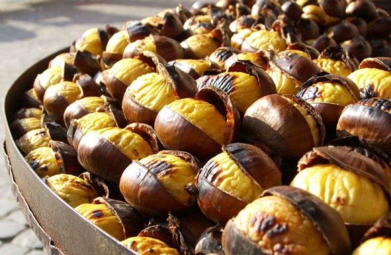 POFTE DE SEZON: Castanele din Maramureș, gustoase, dar și scumpe POFTE DE SEZON: Castanele din Maramureș, gustoase, dar și scumpe