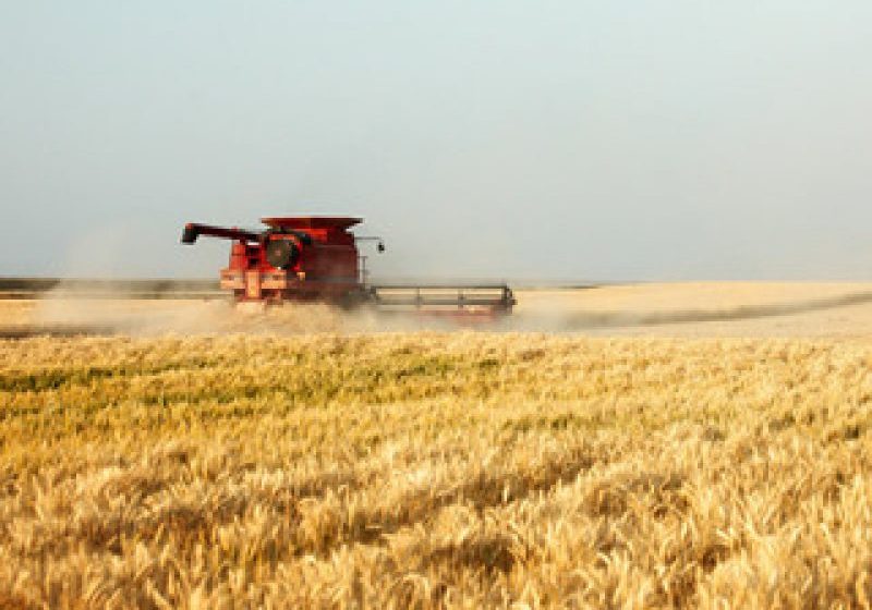INS: Valoarea producţiei ramurii agricole a crescut cu 2,5% în anul 2016