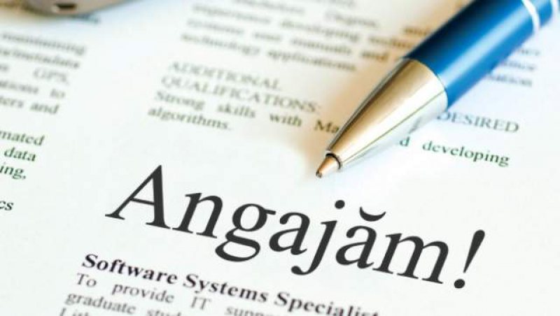 AJOFM MARAMUREȘ: Locuri de muncă disponibile în județ AJOFM MARAMUREȘ: Locuri de muncă disponibile în județ