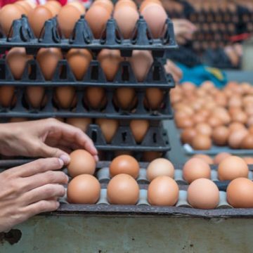 S-au intensificat controalele la carnea de pasăre și ouăle aduse din Polonia