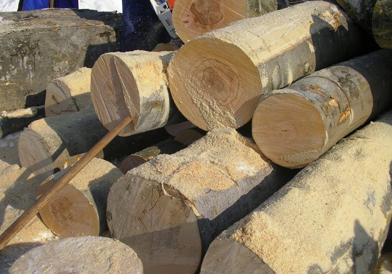 CONTROL DE RUTINĂ: O autoutilitară şi lemnul transportat ilegal, confiscate de poliţişti