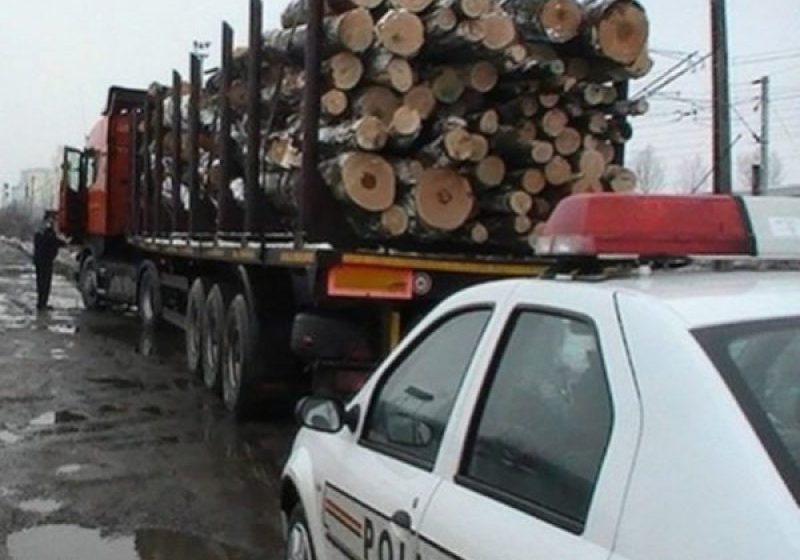 INFRACȚIUNI SILVICE: Poliţiştii verifică legalitatea transportului de material lemnos