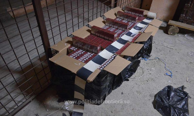 CONTRABANDĂ: 7.300 pachete țigări confiscate la frontiera de nord CONTRABANDĂ: 7.300 pachete țigări confiscate la frontiera de nord