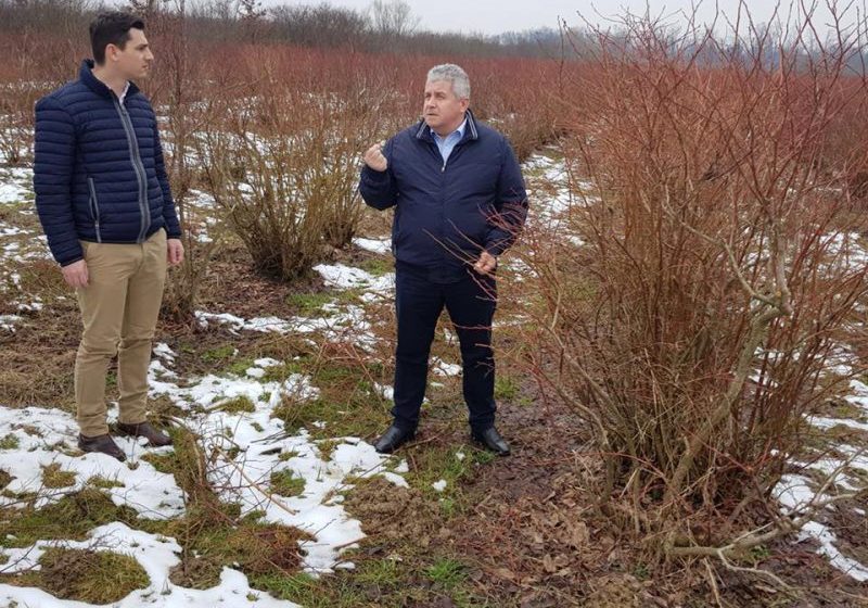DANIEL BUDA (PPE): Concurența neloială a supermarketurilor, o bombă atomică cu efect întârziat pentru procesatorii autohtoni