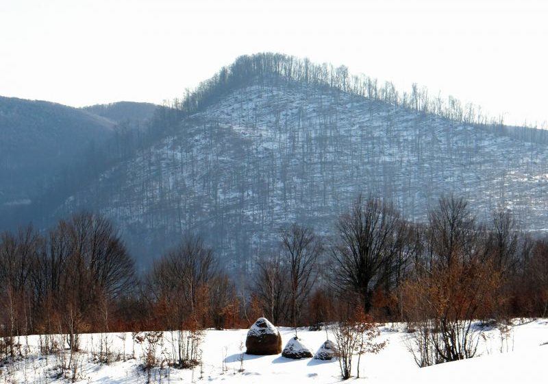 VREMEA ÎN MARAMUREȘ: – 10 grade la Cavnic, în această dimineață
