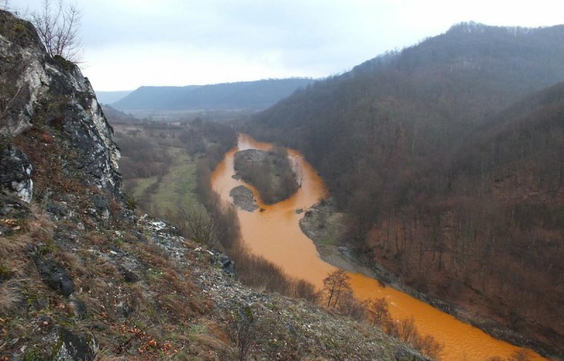 GRAV: Dezastrul ecologic de pe Lăpuș în urma deversărilor, tone de pești morți GRAV: Dezastrul ecologic de pe Lăpuș în urma deversărilor, tone de pești morți