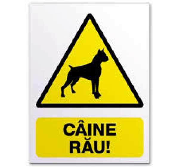INCIDENT PE STRADĂ: Femeie mușcată de un câine care i-a atacat propriul câine