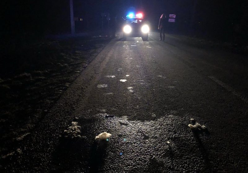 NEGLIJENȚA L-A COSTAT VIAȚA: Un biciclist a fost accidentat mortal NEGLIJENȚA L-A COSTAT VIAȚA: Un biciclist a fost accidentat mortal