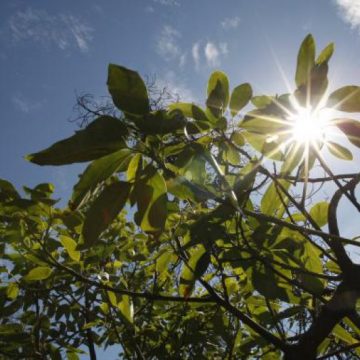 PROGNOZĂ ANM: Cum stăm cu vremea în Maramureș în următoarele două săptămâni