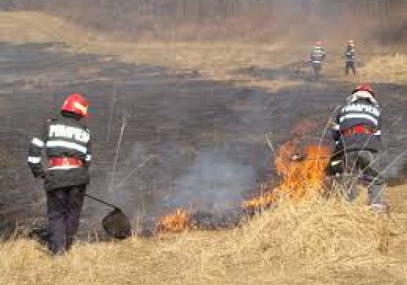 ALERTĂ: Incendiu puternic de vegetaţie uscată în apropierea unei catedrale ALERTĂ: Incendiu puternic de vegetaţie uscată în apropierea unei catedrale