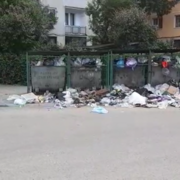 ENERVANT: În cartierul Independenței dau gunoaiele pe-afară ENERVANT: În cartierul Independenței dau gunoaiele pe-afară