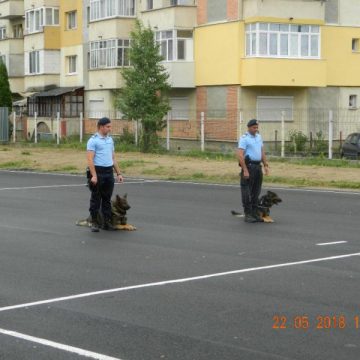 JANDARMII, ALĂTURI DE COPII: Exerciţii demonstrative cu câinii de serviciu, Pecetu şi Soh JANDARMII, ALĂTURI DE COPII: Exerciţii demonstrative cu câinii de serviciu, Pecetu şi Soh