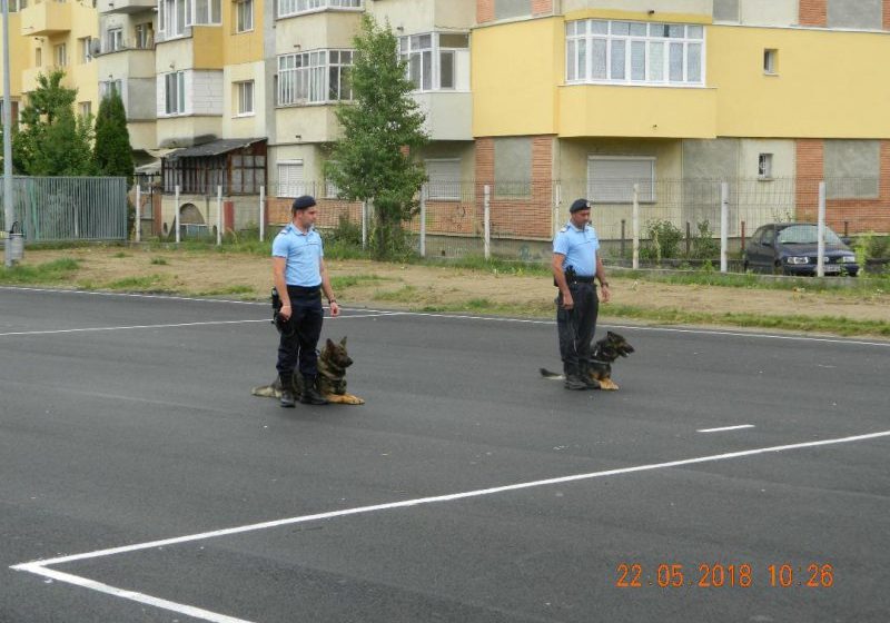 JANDARMII, ALĂTURI DE COPII: Exerciţii demonstrative cu câinii de serviciu, Pecetu şi Soh