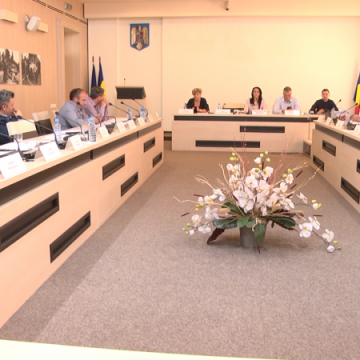 PROIECT APROBAT: S-a modificat lista reprezentanților consiliului local sighet în cadrul consiliilor de administrație ale școlilor