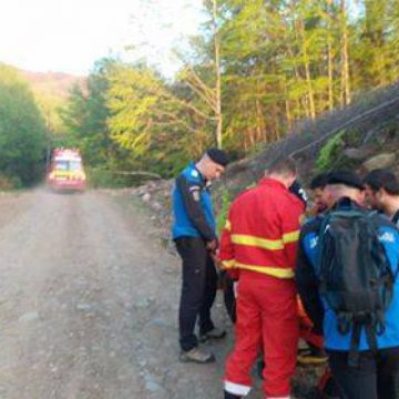 ACȚIUNE DE CĂUTARE ÎN ZONA MONTANĂ: Tânăr de 18 ani, rătăcit în zona Mogoșa ACȚIUNE DE CĂUTARE ÎN ZONA MONTANĂ: Tânăr de 18 ani, rătăcit în zona Mogoșa
